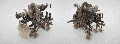 Thumbnail for version as of 15:40, 12 December 2024